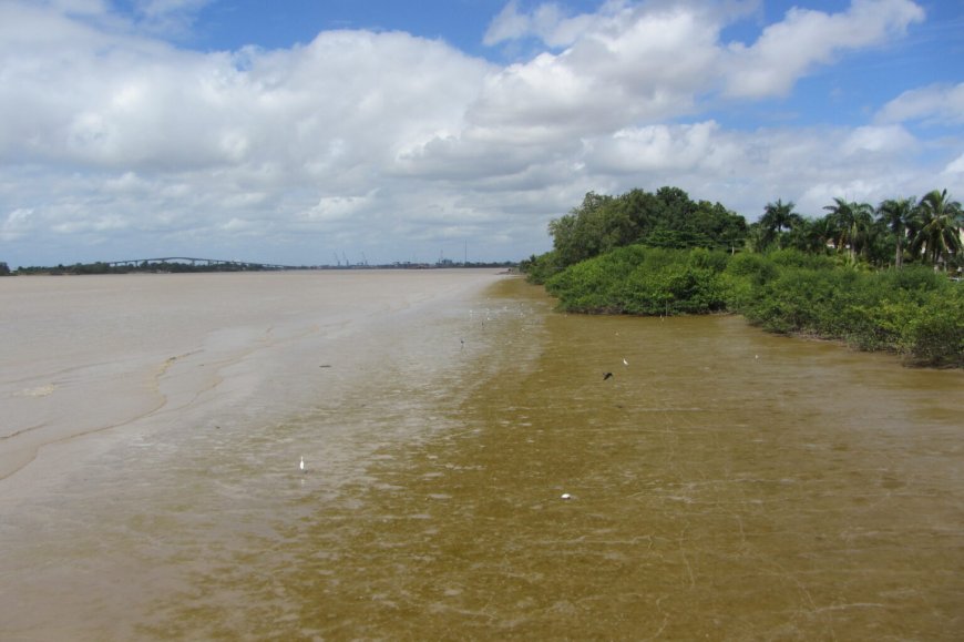 Lijk in verre staat van ontbinding langs de Suriname rivier aangespoeld